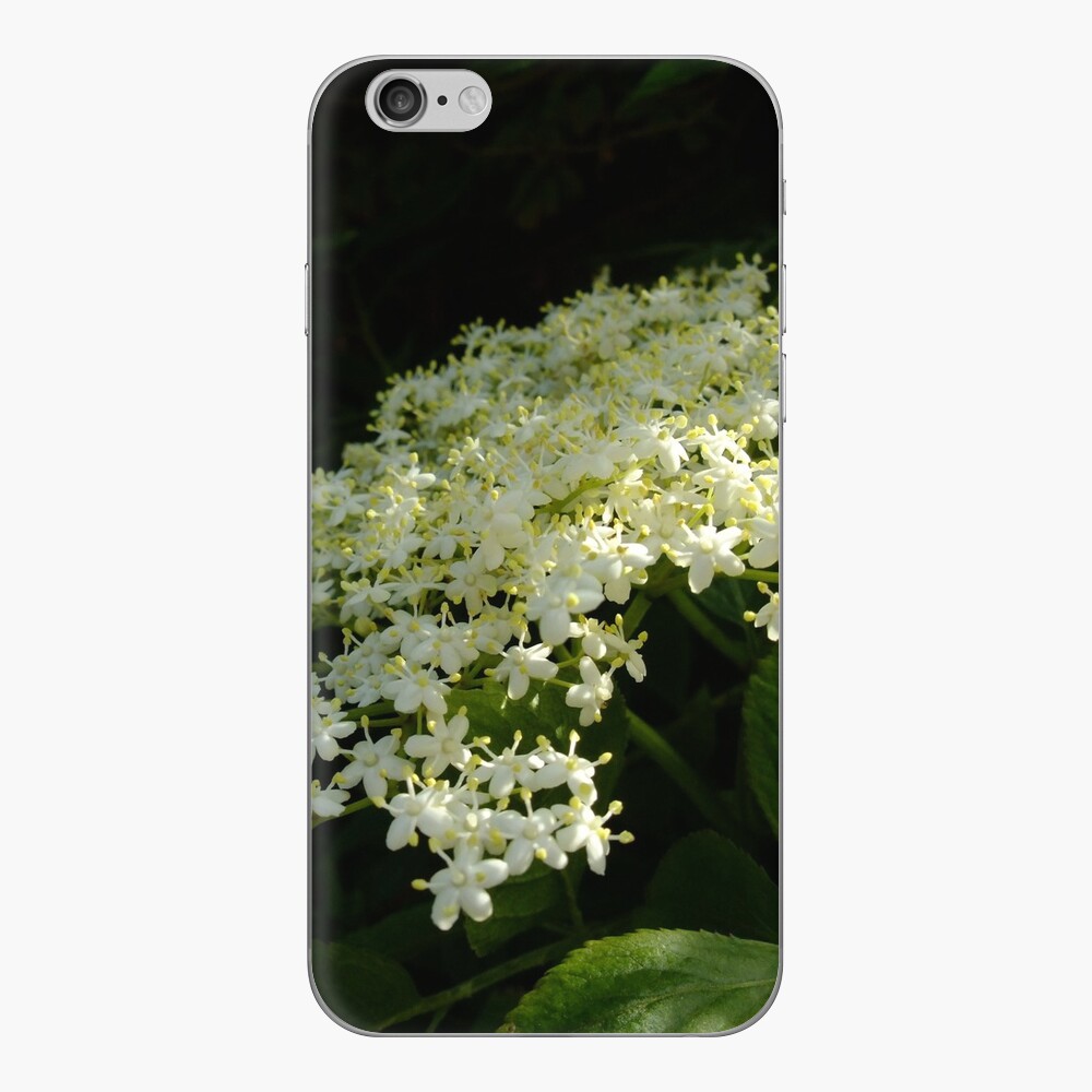 Elder iPhone Skin