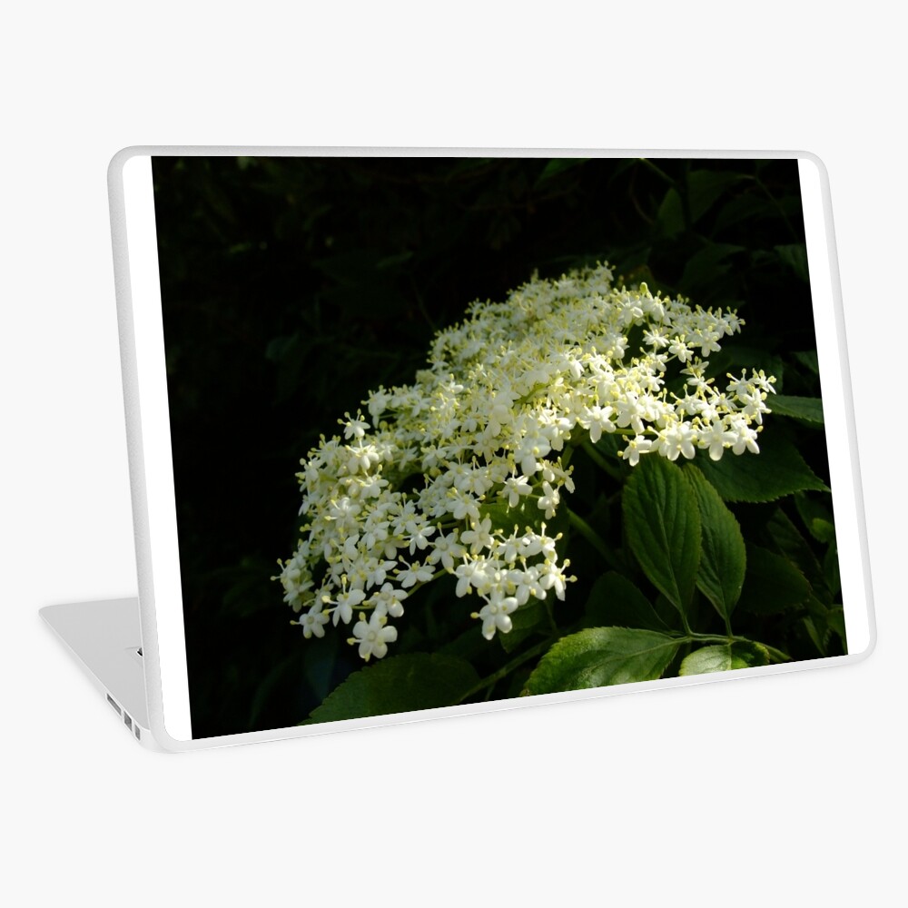 Elder Laptop Skin