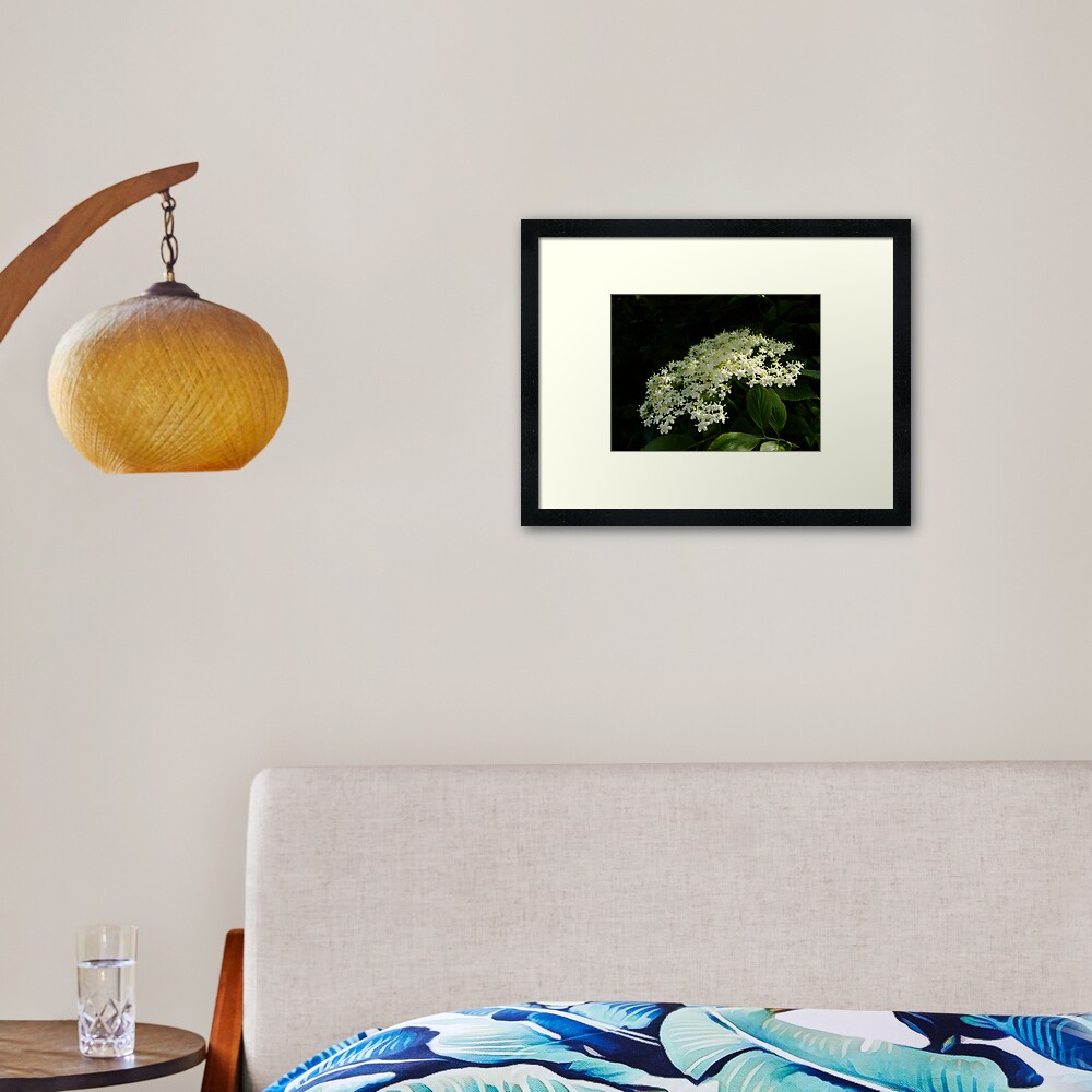 Elder Framed Art Print