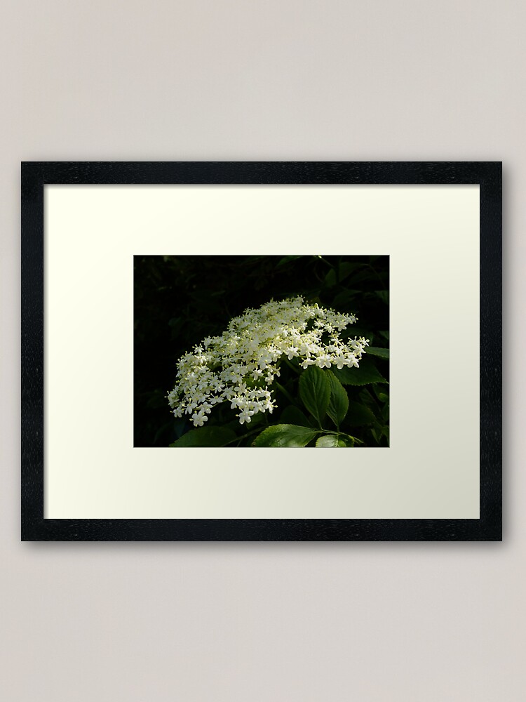 Alternate view of Elder Framed Art Print