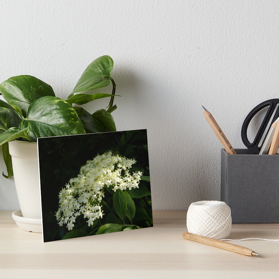 Elder Art Board Print