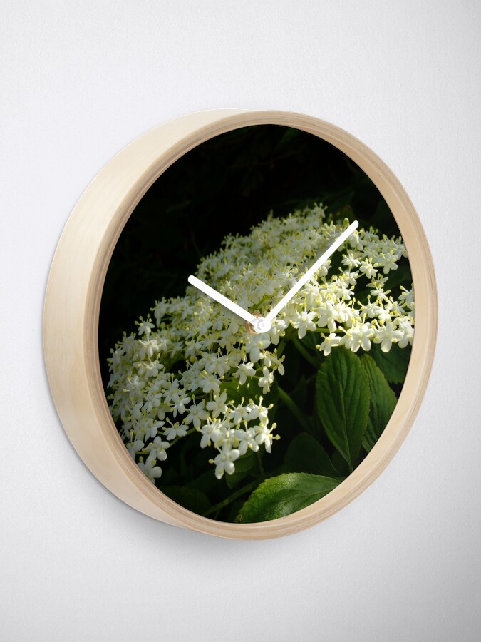 Alternate view of Elder Clock