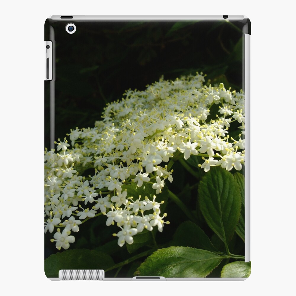 Elder iPad Case & Skin