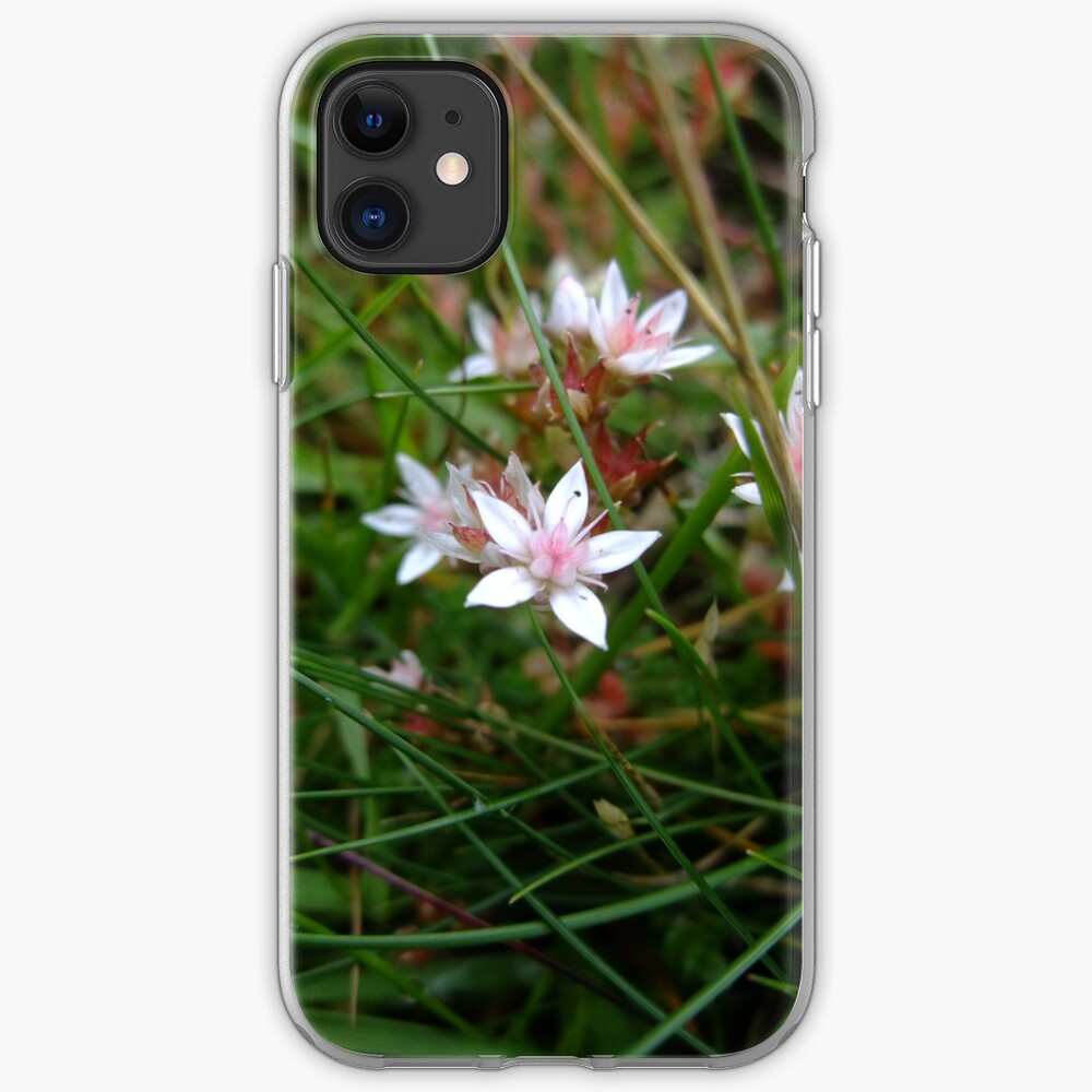 English stonecrop iPhone Case & Cover