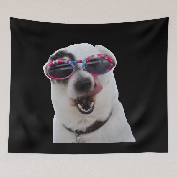 Item preview, Wassup? What's Up? Cute Funny Sassy Dog Collection designed and sold by Schrodinger's  Clothing.