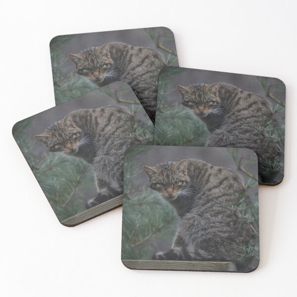 Item preview, Scottish Wildcat designed and sold by ClaireChown.