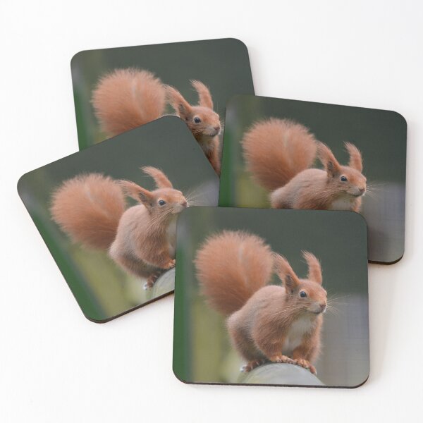 Item preview, Red Squirrel with Winter Ear Tufts designed and sold by ClaireChown.