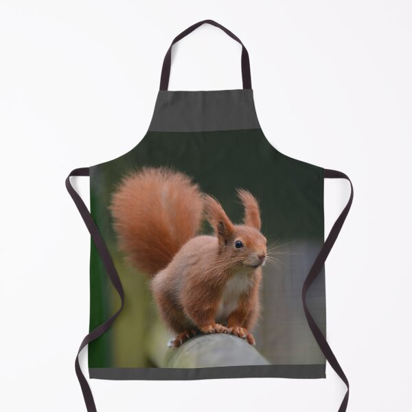 Item preview, Red Squirrel with Winter Ear Tufts designed and sold by ClaireChown.