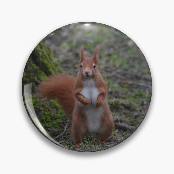 Item preview, Dancing Red Squirrel designed and sold by ClaireChown.