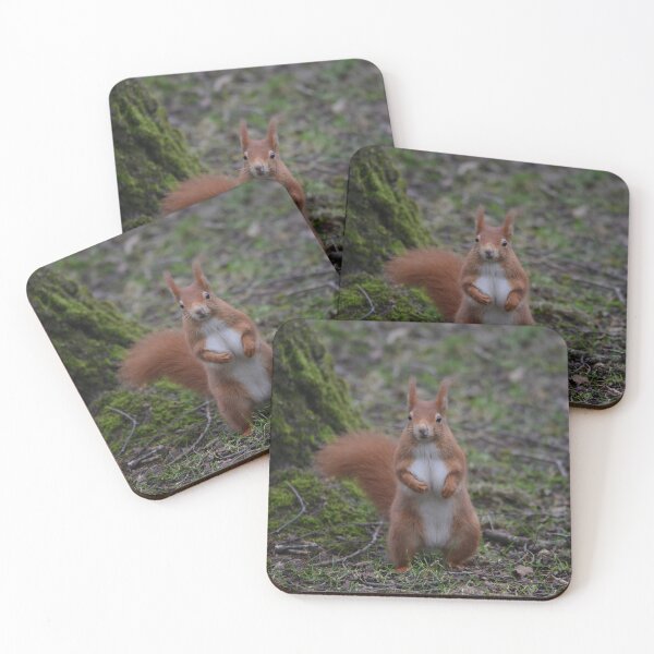 Item preview, Dancing Red Squirrel designed and sold by ClaireChown.