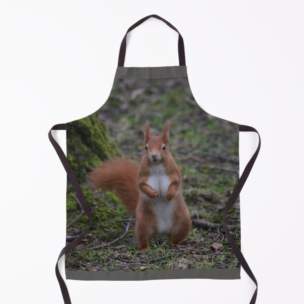 Item preview, Dancing Red Squirrel designed and sold by ClaireChown.