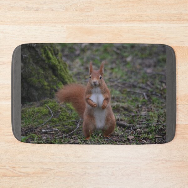 Item preview, Dancing Red Squirrel designed and sold by ClaireChown.