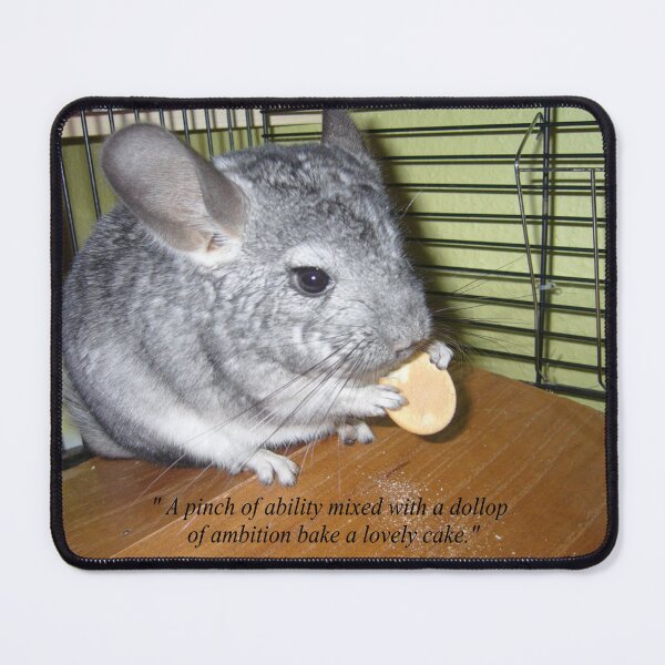 Item preview, Ambitious Chinchilla Eating a Cake Novelty Quotation designed and sold by NovawayDirect.