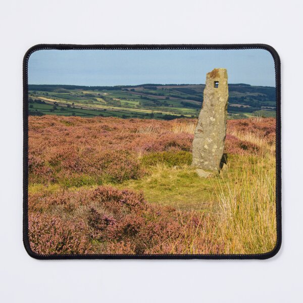 Item preview, Eye Spy designed and sold by maureen bracewell.