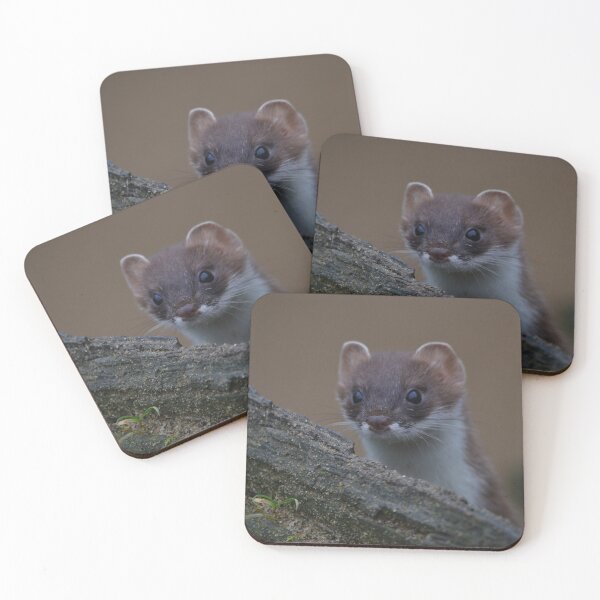 Item preview, Cheeky Little Stoat designed and sold by ClaireChown.
