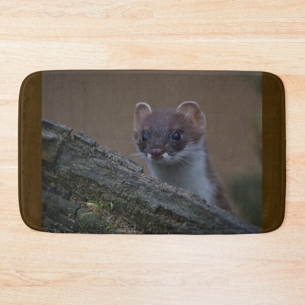 Item preview, Cheeky Little Stoat designed and sold by ClaireChown.