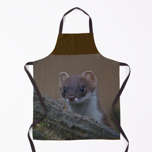 Item preview, Cheeky Little Stoat designed and sold by ClaireChown.