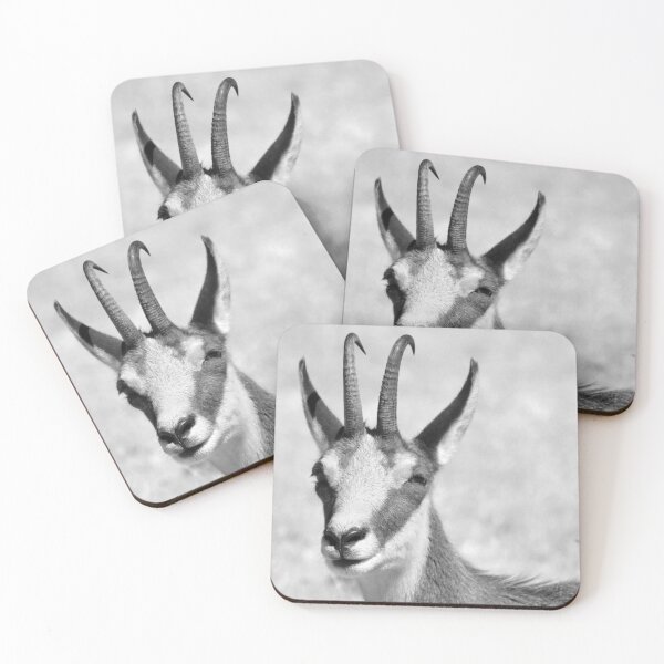 Item preview, Chamois designed and sold by neil harrison.