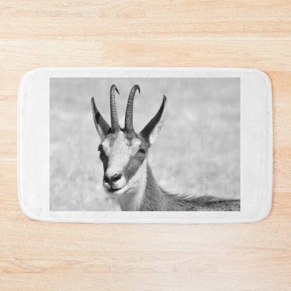 Item preview, Chamois designed and sold by neil harrison.