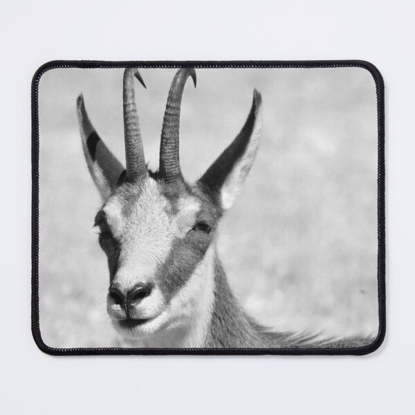 Item preview, Chamois designed and sold by neil harrison.