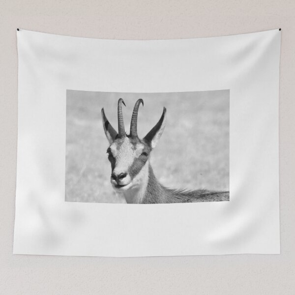 Item preview, Chamois designed and sold by neil harrison.