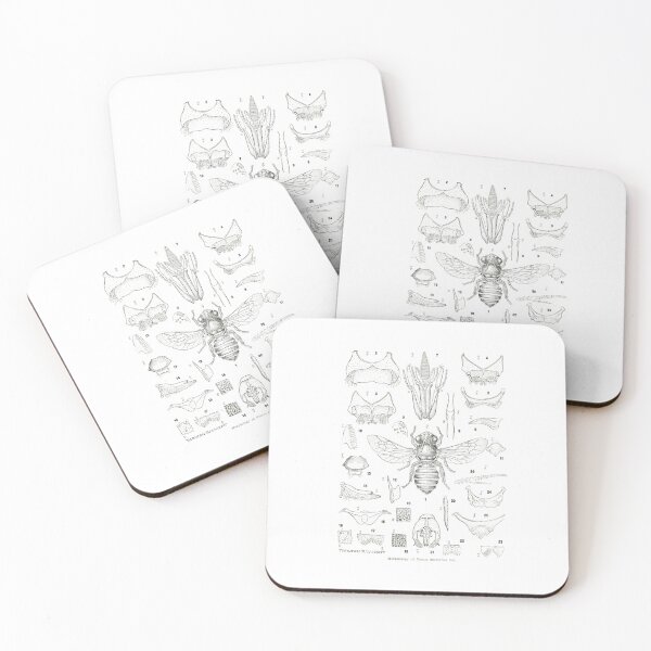 Item preview, Bee Anatomy Graphic designed and sold by KathrineSandnes.