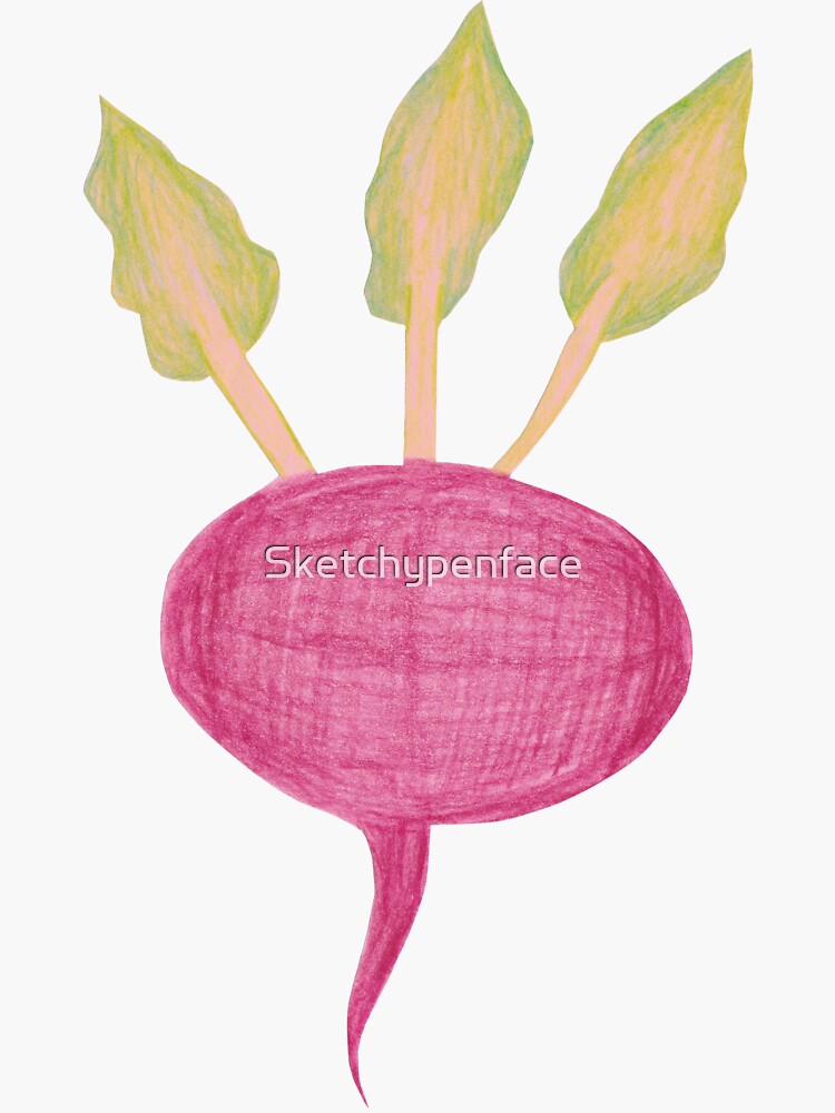"Colour Pencil Drawing Radish" Sticker for Sale by Sketchypenface