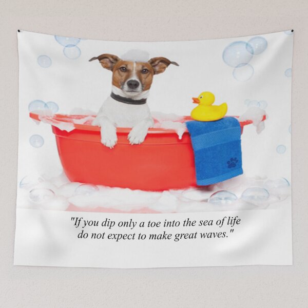 Item preview, Hesitant Dog Frightened to Take the Next Step Novelty Quotation  designed and sold by NovawayDirect.