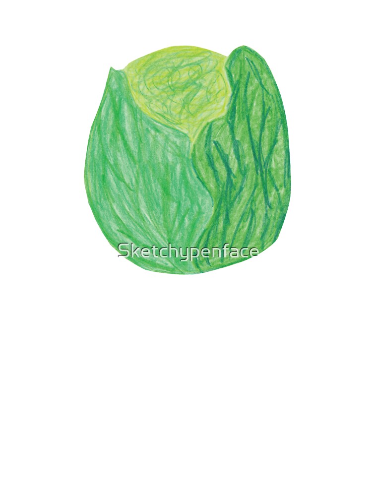 Premium Vector | A drawing of a cabbage with a drawing of a cabbage.