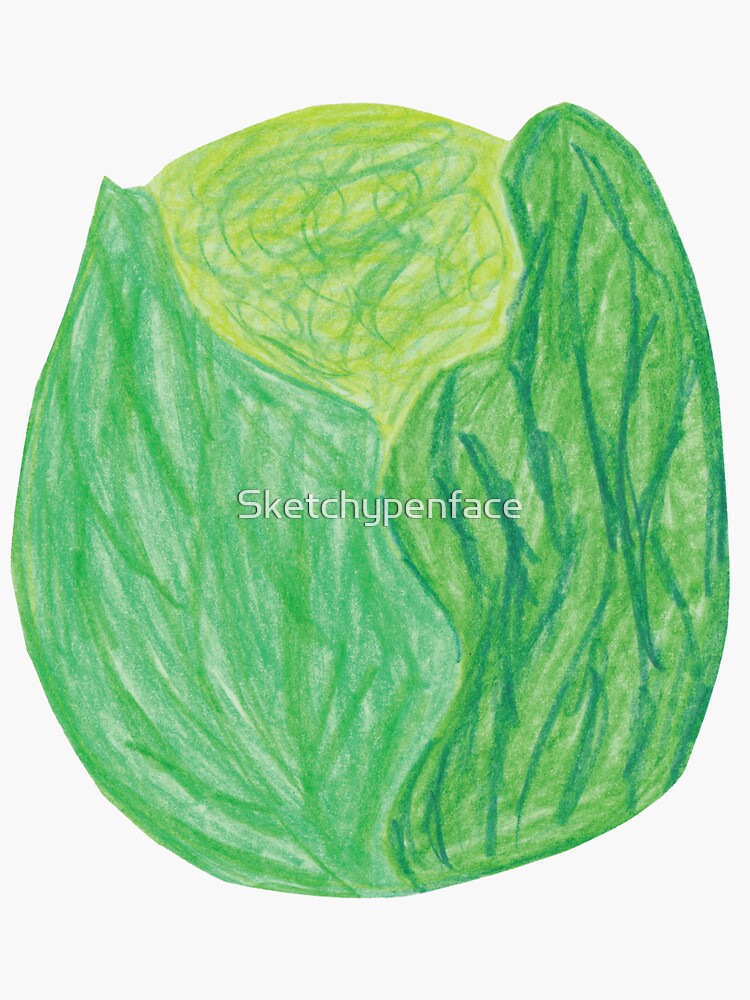 How to Draw a Cabbage - Easy Drawing Tutorial For Kids