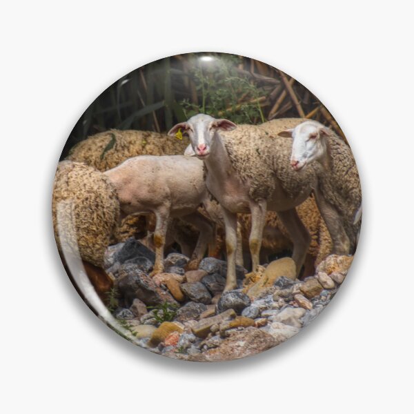 Item preview, Sheep by a lake with bamboo and stones designed and sold by janesg.