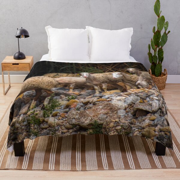 Item preview, Sheep by a lake with bamboo and stones designed and sold by janesg.