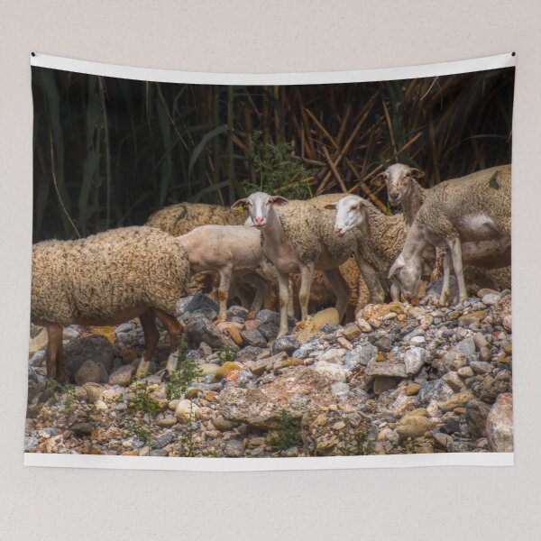 Item preview, Sheep by a lake with bamboo and stones designed and sold by janesg.
