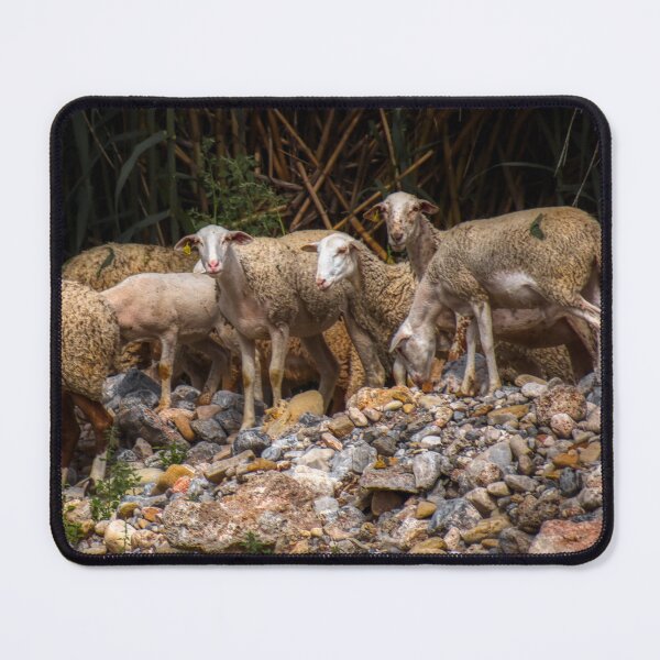 Item preview, Sheep by a lake with bamboo and stones designed and sold by janesg.