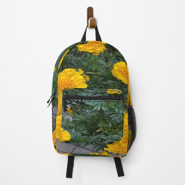 Item preview, Beautiful Yellow mums flowers in spring New York City. designed and sold by Victornewyork.