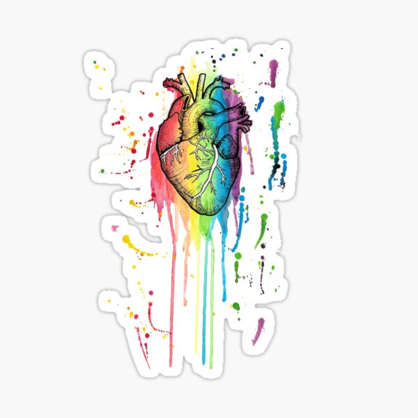 Watercolour and Pen Rainbow Anatomical Heart Sticker