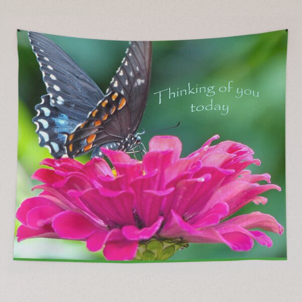 Item preview, Thinking of you Today  designed and sold by Frankie Cat Photography.