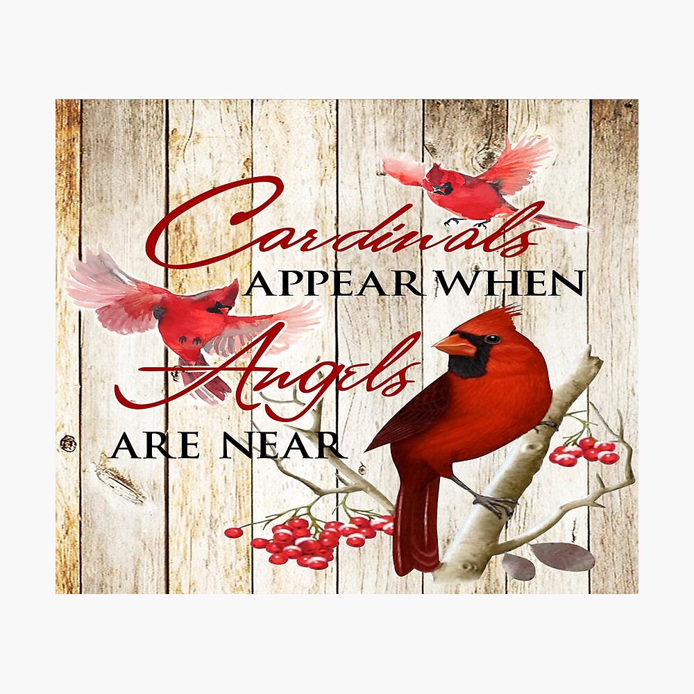  Just A Girl Who Loves Cardinals Funny Cardinal Bird Lover  Premium T-Shirt : Clothing, Shoes & Jewelry