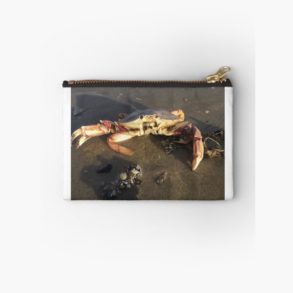 Aperçu de l'œuvre Mr Crab créée et vendue par Jacker.
