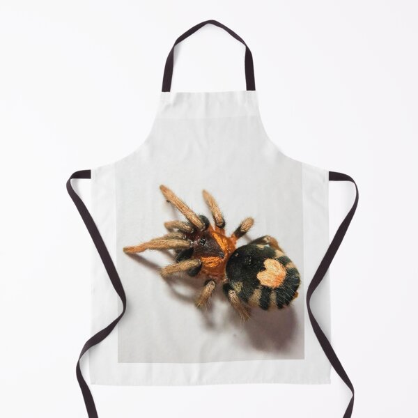Item preview, Cyriocosmus Elegans Tarantula designed and sold by CyriocosmusE.