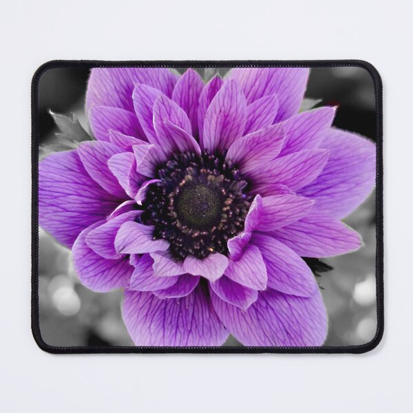 Item preview, purple cosmos flower designed and sold by KaisPrints.