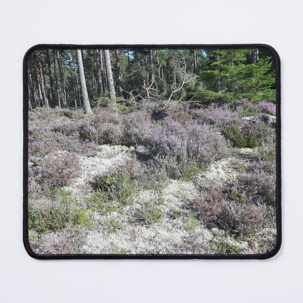 Item preview, Heather in Culbin Forest, Scotland, on sandy soil designed and sold by icomeinpeace2.