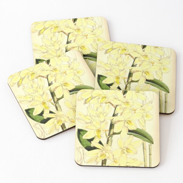 Item preview, Dendrobium luteolum designed and sold by EsotericBotanic.