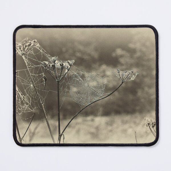 Item preview, Artistic Spider's web designed and sold by Violaman.