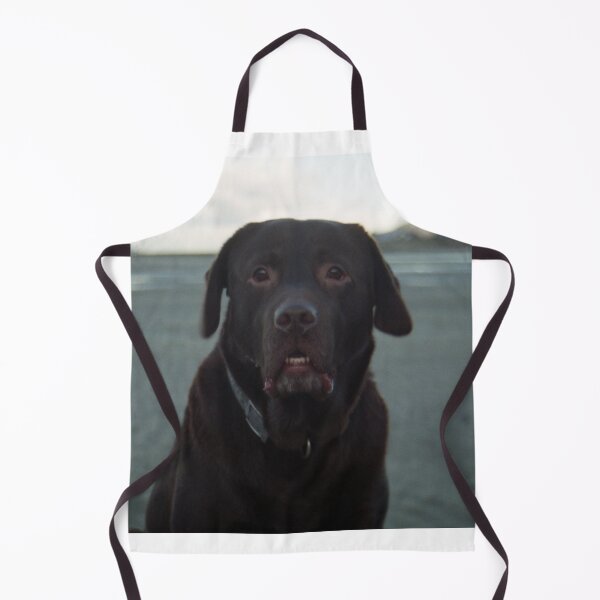 Item preview, Our pal Sam designed and sold by Michael Haslam.