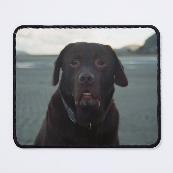 Item preview, Our pal Sam designed and sold by Michael Haslam.