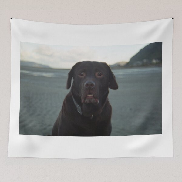 Item preview, Our pal Sam designed and sold by Michael Haslam.