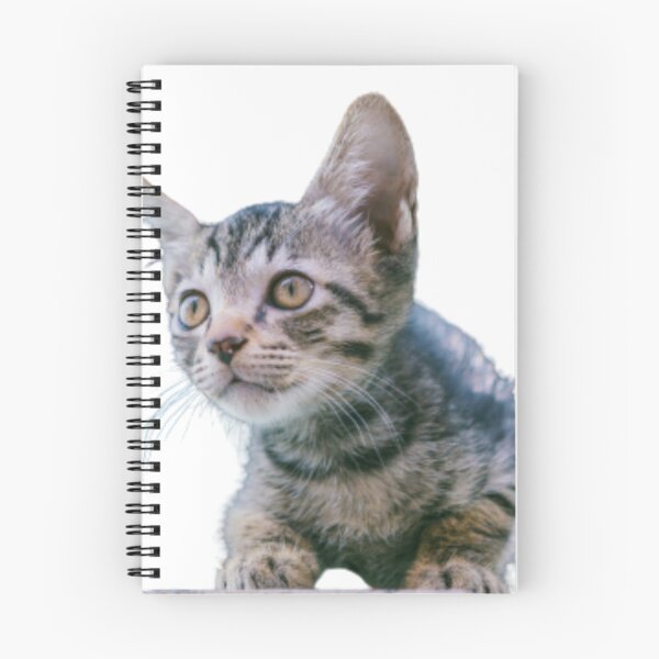 Item preview, LINDO GATITO TABBY MARRÓN designed and sold by giantstep.