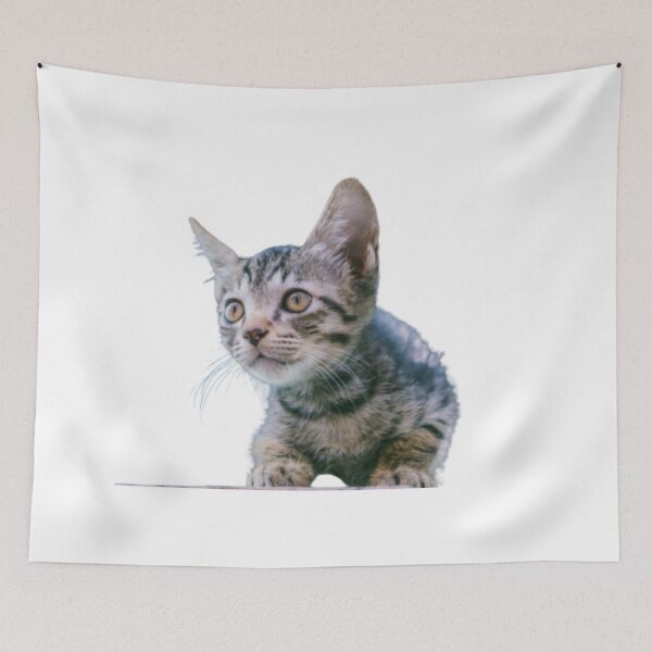 Aperçu de l'œuvre MIGNON CHATON TABBY MARRON créée et vendue par giantstep.