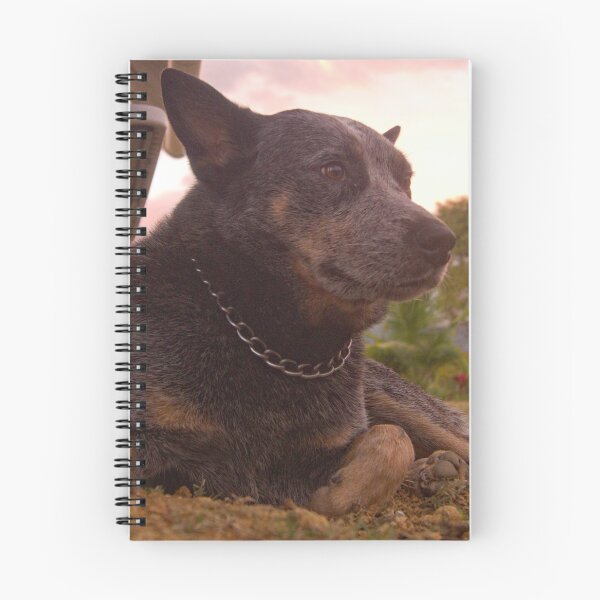 Item preview, All Acd designed and sold by pcfyi.